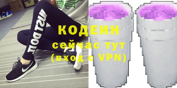 гашик Алексин