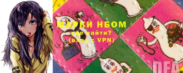 гашик Алексин