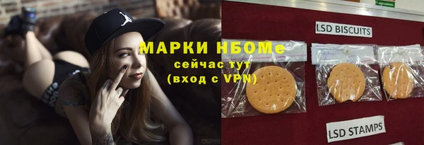винт Пересвет