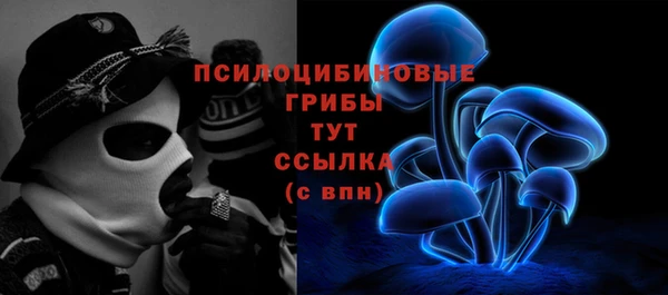 гидра Алзамай