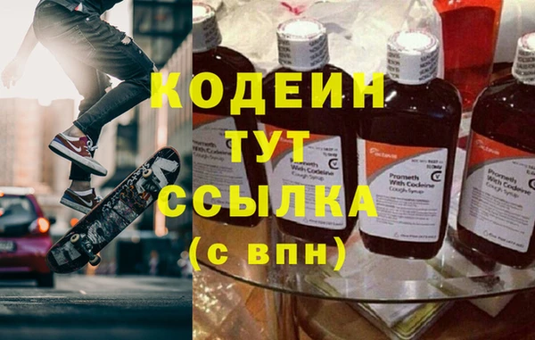 гашик Алексин