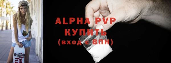 гашик Алексин