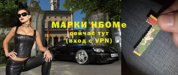 гашик Алексин