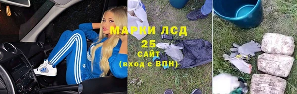 винт Пересвет