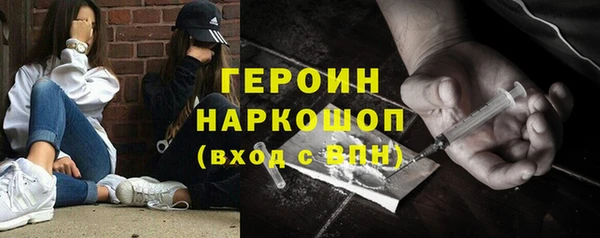 гашик Алексин